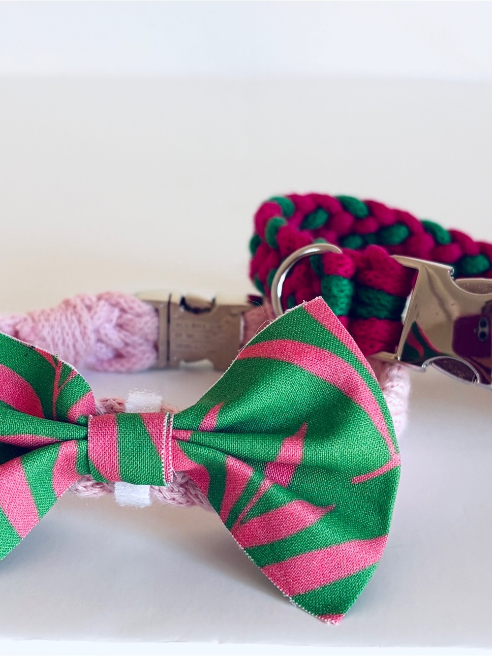 Matching Palm Springs Dog Collar Bundle